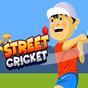 Уличен крикет