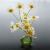 MargulimuM