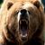 GRIZZLYto