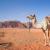 WADI_RUM