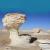 WHITEDESERT