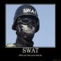 SWAT