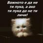 ivvet