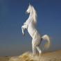 white_horse